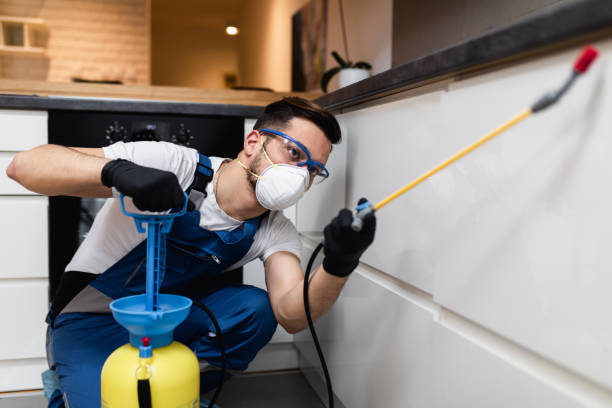 Best Residential Pest Control  in Mahanoy City, PA