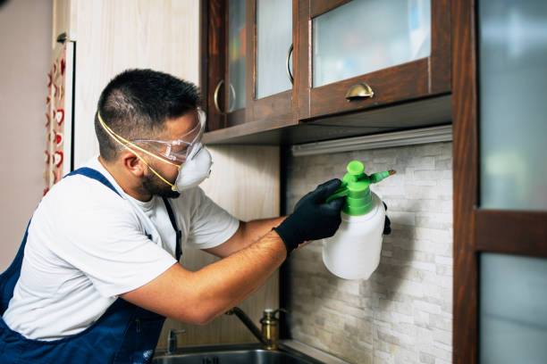 Best Best Pest Control Companies  in Mahanoy City, PA