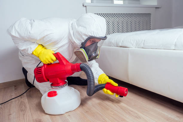 Best Pest Control for Businesses  in Mahanoy City, PA