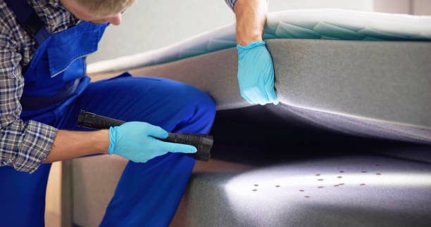 Best Pest Control for Homes  in Mahanoy City, PA