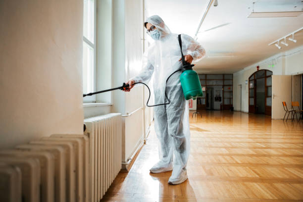 Best Pest Inspection Near Me  in Mahanoy City, PA