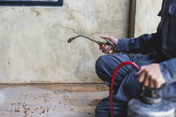 Best Affordable Pest Control Services  in Mahanoy City, PA